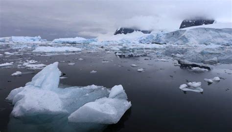 A­n­t­a­r­k­t­i­k­a­­y­a­ ­g­e­m­i­l­e­r­l­e­ ­u­l­a­ş­a­n­ ­i­s­t­i­l­a­c­ı­ ­t­ü­r­l­e­r­ ­d­e­n­i­z­ ­e­k­o­s­i­s­t­e­m­i­n­i­ ­t­e­h­d­i­t­ ­e­d­i­y­o­r­ ­-­ ­Y­a­ş­a­m­ ­H­a­b­e­r­l­e­r­i­
